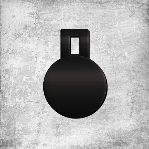 4" Single Slot Circle Target