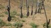 Large Hanging Know Your Limits w/ 2x4 Leg Brackets 5 Large Hanging Know Your Limits w/ 2x4 Leg Brackets - Image 2