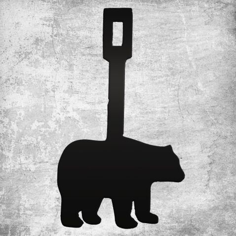 bear rim fire steel target